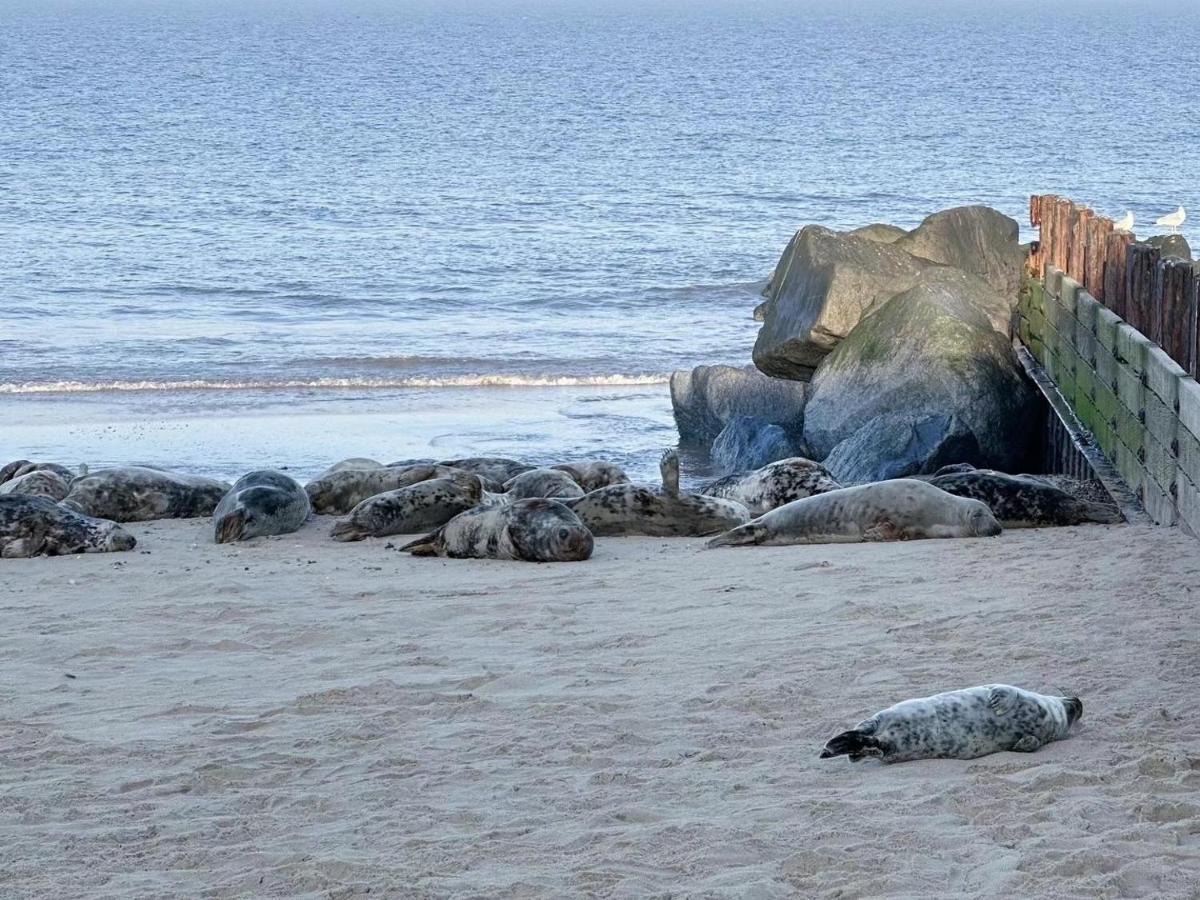 Holiday home Cosy And Comfortable 10 Minutes Walk To The Beach, Norfolk